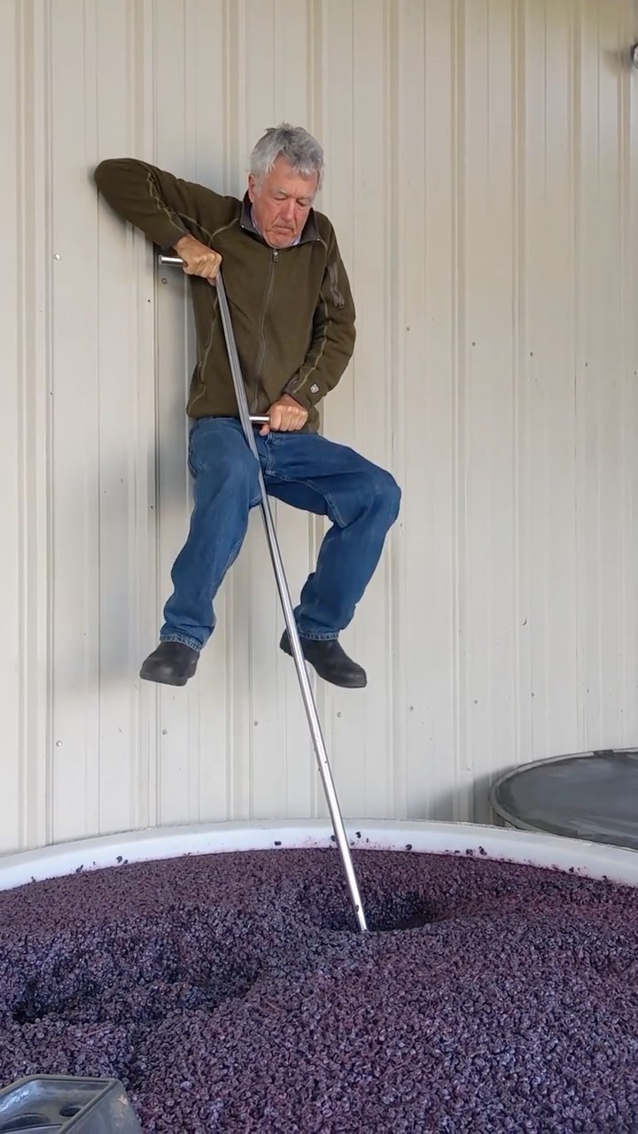 Chris Loxton punching down the cap during fermentation